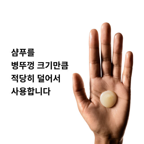 앱솔루트 리페어 샴푸 - 세리 엑스퍼트 | L'Oréal 파트너샵